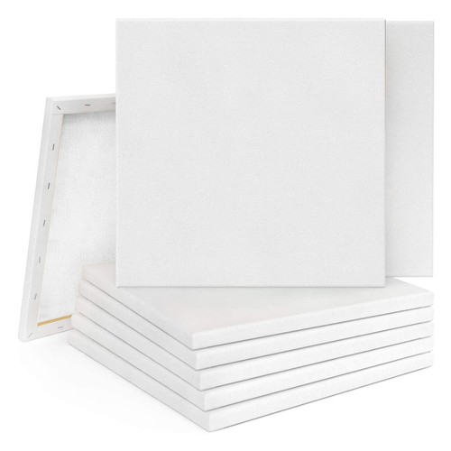 20pcs blank artist canvas art - artist,