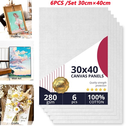 6pcs blank canvas - a3, board