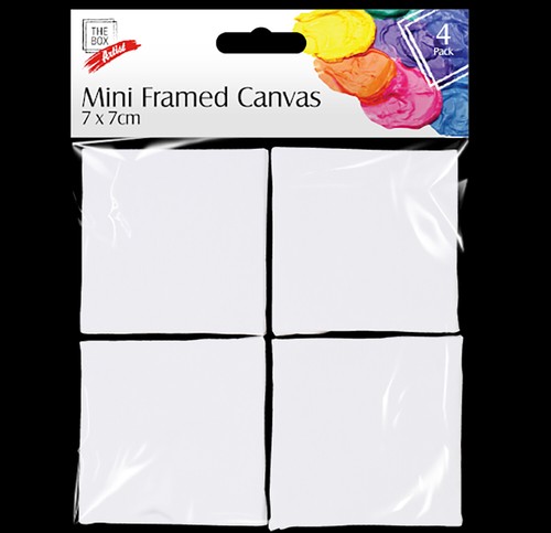 Mini artist canvases - artist,