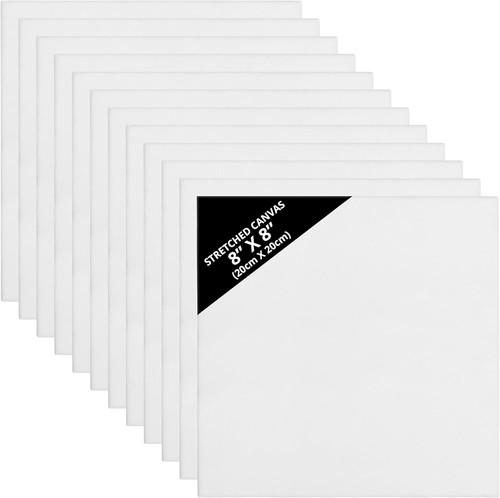 12x blank canvas acrylic - canvas,