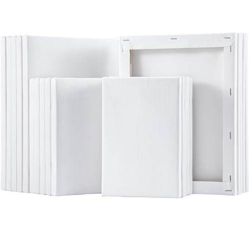 20pc stretched canvas set 100 - stretched,