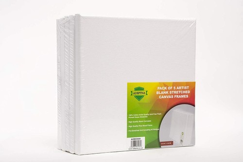 5pcs artist blank stretched - 5pcs,